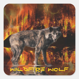 Sticker Carré Loup gris et survie en forêt Art de la faune