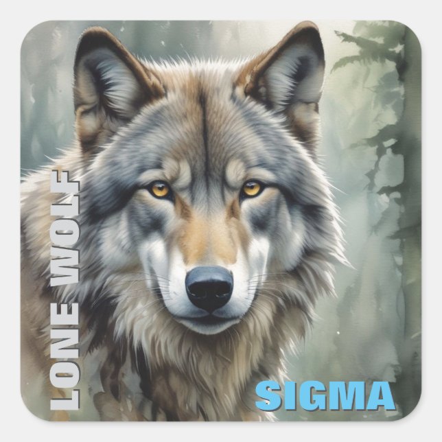 Sticker Carré Loup solitaire masculin de Sigma (Devant)