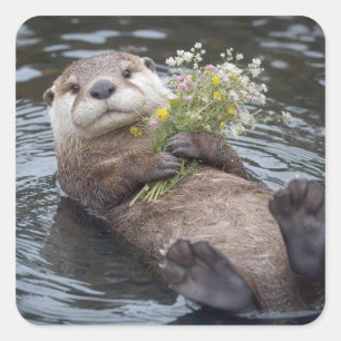 Sticker Carré Loutre flottant avec bouquet de fleurs sauvages