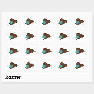 Sticker Carré LR chocolate lab mâcher boule dessin animé
