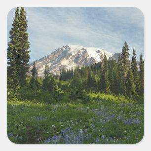 Sticker Carré Lumière du matin du Mont Rainier