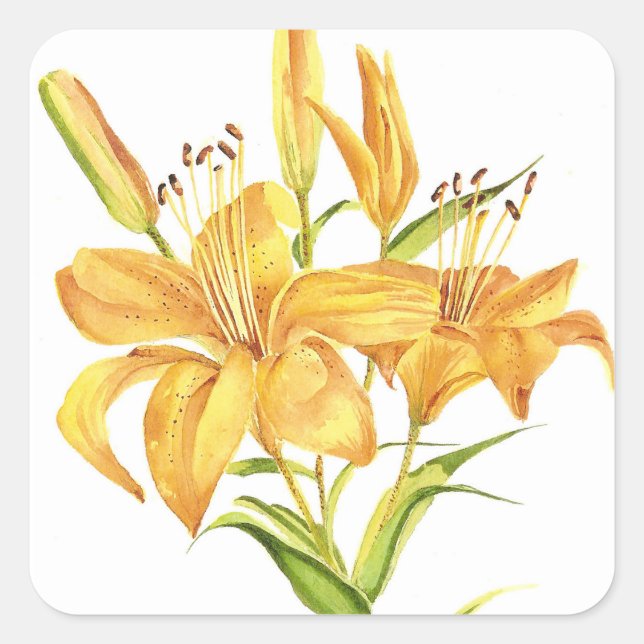 Sticker Carré Lys de tigre (Devant)