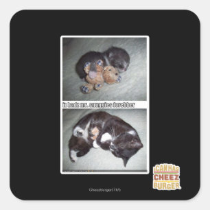 Sticker Carré M. snuggies forebber de hadz d'iz