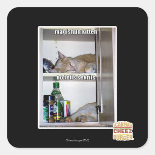 Sticker Carré Magishun Kitteh