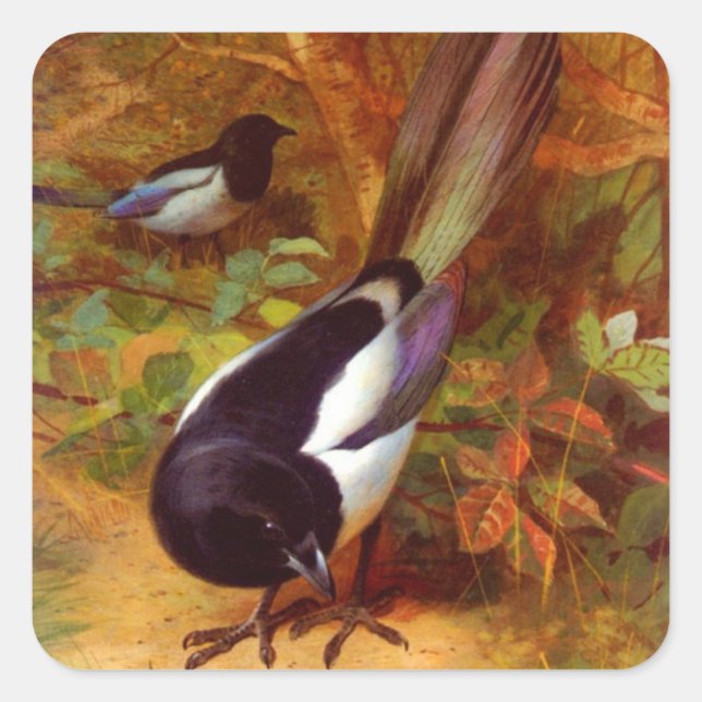 Sticker Carré Magpies (Devant)