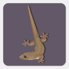 Sticker Carré Maison commune Gecko