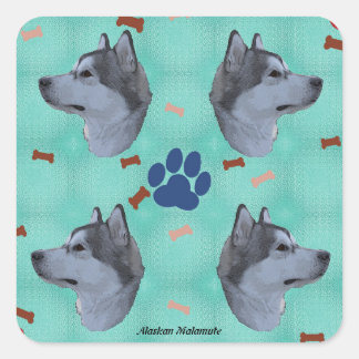 Sticker Carré Malamute d'Alaska
