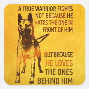 Sticker Carré Malinois - Berger belge -Mechelaar -Maligator