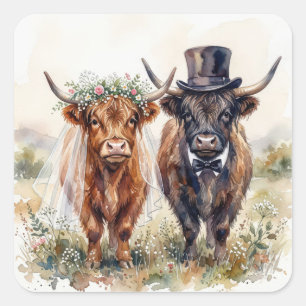 Sticker Carré Mariés vaches des Highlands