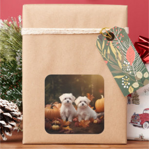 Sticker Carré Marionnette maltaise Automne Citrouille délice