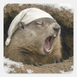 Sticker Carré Marmotte bâillant portant un bonnet de nuit