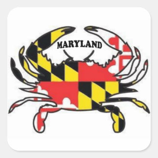 STICKER CARRÉ MARYLAND