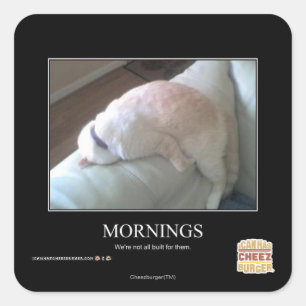 Sticker Carré Matins