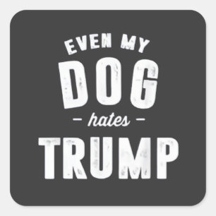 Sticker Carré Même mon chien déteste Trump et l'Humour