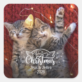 Sticker Carré Meowny Christmas fun chat photo amoureux de animal
