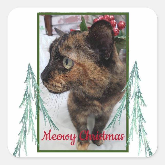 Sticker Carré Meowy Christmas Chat Photo À feuillage persistant  (Devant)