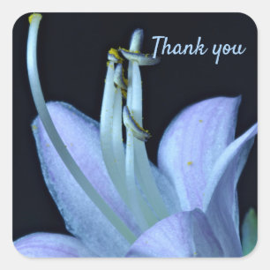 Sticker Carré Merci Fleur Bleu Lavande Personnalisé