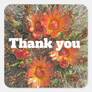 Sticker Carré Merci floral Fleurs de cactus orange