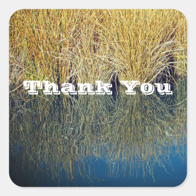 Sticker Carré Merci Lake Grass Relaxé Merci À Tous (Devant)