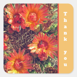 Sticker Carré Merci Orange Cactus Fleurs Photo Appréciation