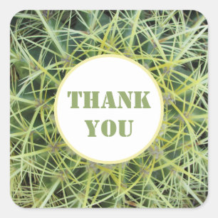 Sticker Carré Merci Plante du désert Photo Barrel Cactus