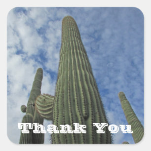 Sticker Carré Merci Saguaro Cactus Ciel Bleu Appréciation