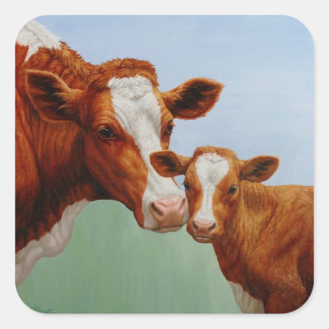 Sticker Carré Mère Guernesey Vache et Mignonne Veau (Devant)