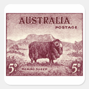 Sticker Carré Merino Sheep australien 1934
