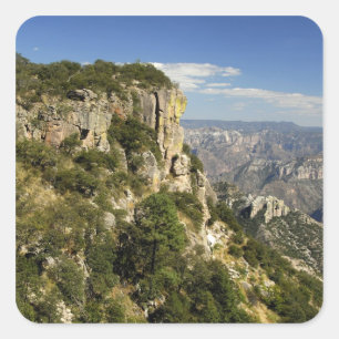 Sticker Carré Mexique, État de Chihuahua, Copper Canyon. CECI