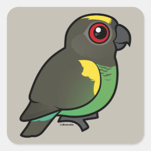 Sticker Carré Meyer's Parrot