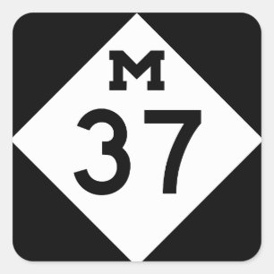 Sticker Carré Michigan M-37