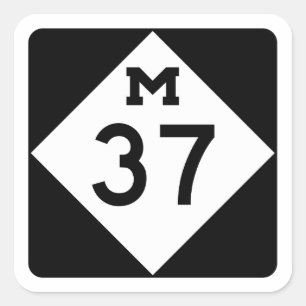 Sticker Carré Michigan M-37