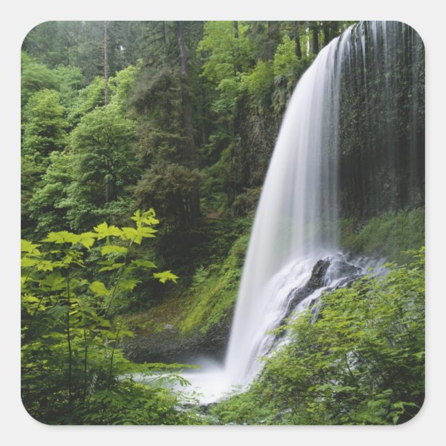 Sticker Carré Middle North falls, Silver Falls State Park, (Devant)