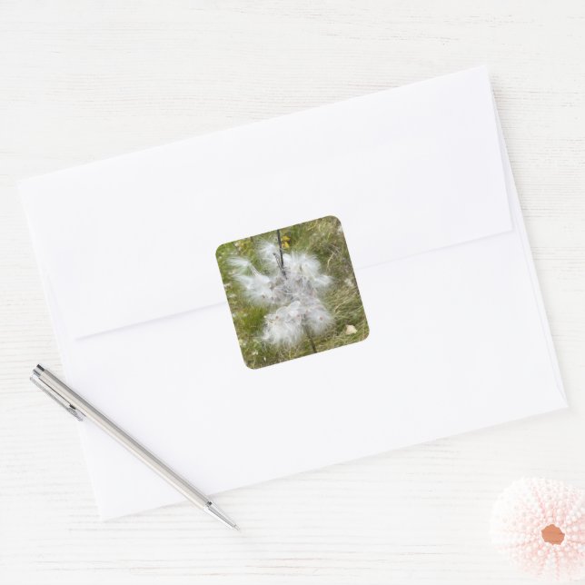 Sticker Carré Milkweed | Papillon | (Enveloppe)