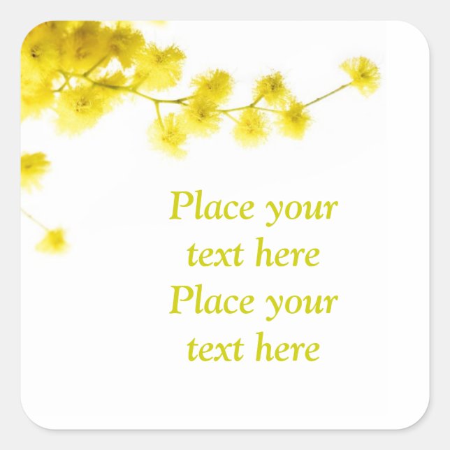 Sticker Carré Mimosa (Devant)