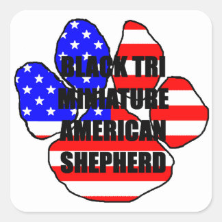 Sticker Carré mini aussie fag pag noir tri