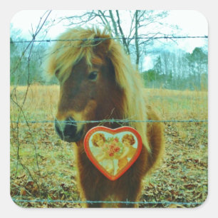 Sticker Carré Miniature cheval Brown Valentine Heart