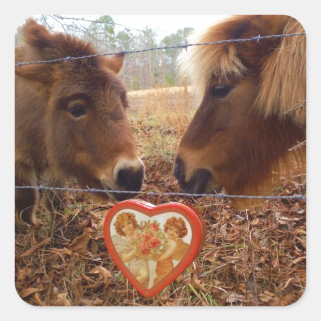 Sticker Carré Miniature Donkey & Horse Valentine Heart (Devant)