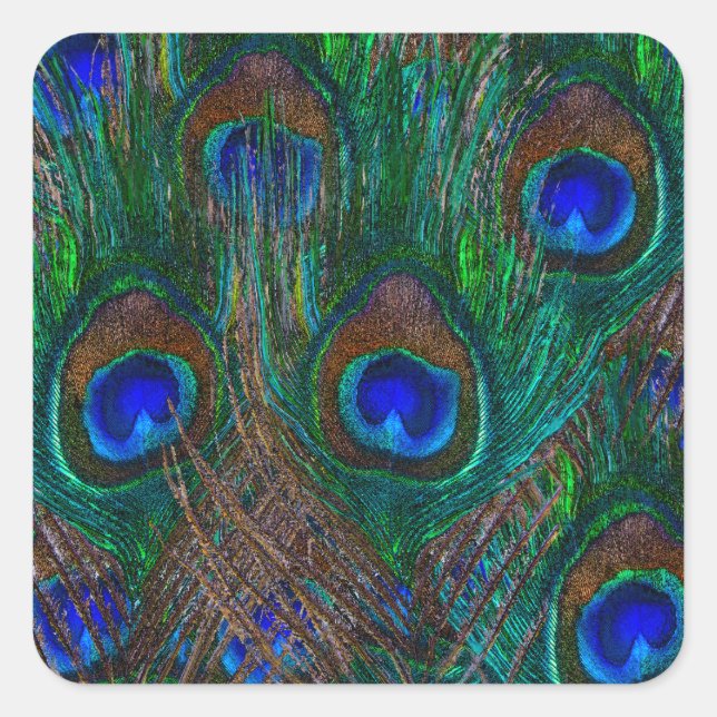 Sticker Carré Minuit Peacock Plumes Etching Style Décor (Devant)