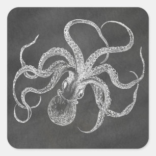 Sticker Carré Modèle Arrière - plan de tableau de bord Octopus v
