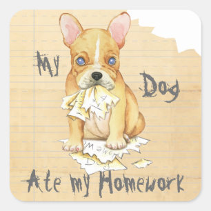 Sticker Carré Mon bouledogue français a mangé mon travail