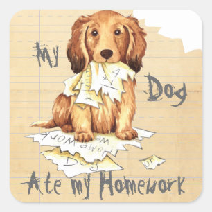 Sticker Carré Mon Dachshund allongé a mangé mes devoirs