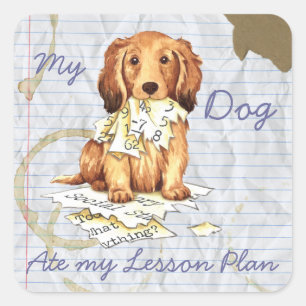 Sticker Carré Mon Dachshund LonghEI Mangé mon plan de leçon