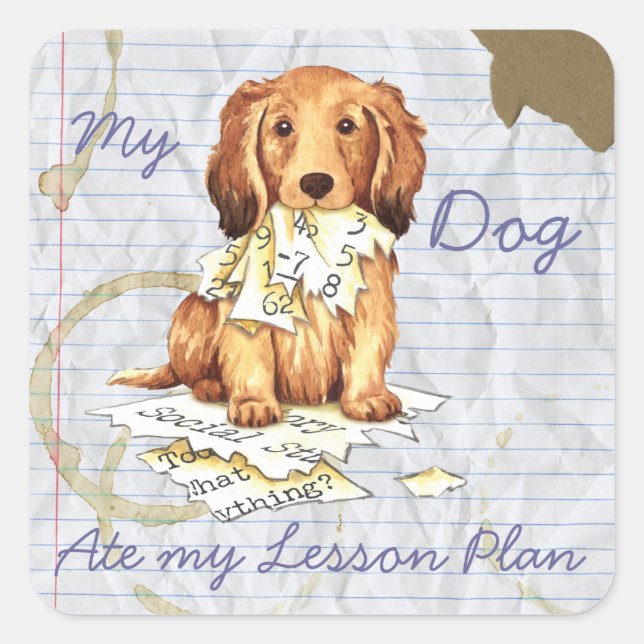 Sticker Carré Mon Dachshund LonghEI Mangé mon plan de leçon (Devant)