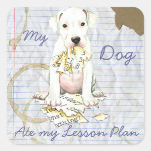 Sticker Carré Mon Dogo Mangé Mon plan de leçon