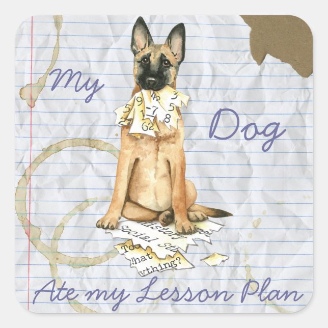 Sticker Carré Mon Malinois Mange Mon Plan De Leçon (Devant)