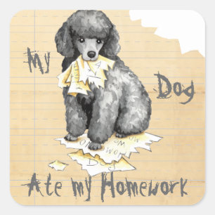 Sticker Carré Mon Poodé Miniature A Mangé Mes Devoirs