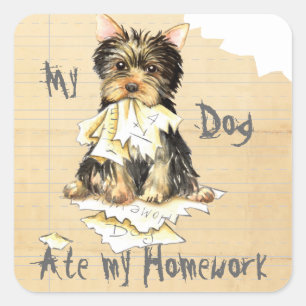 Sticker Carré Mon Yorkie a mangé mes devoirs