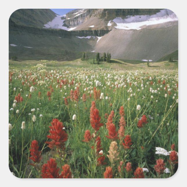 STICKER CARRÉ MONT TIMPANOGOS WILDERNESS, UT, US, (Devant)