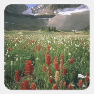 STICKER CARRÉ MONT TIMPANOGOS WILDERNESS, UTU,